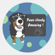 Pawsitiv Phantastische Bildung