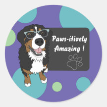 Pawsitiv Phantastische Bildung