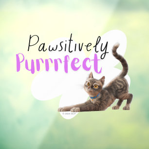 Pawsitiv Purfect Fensteraufkleber