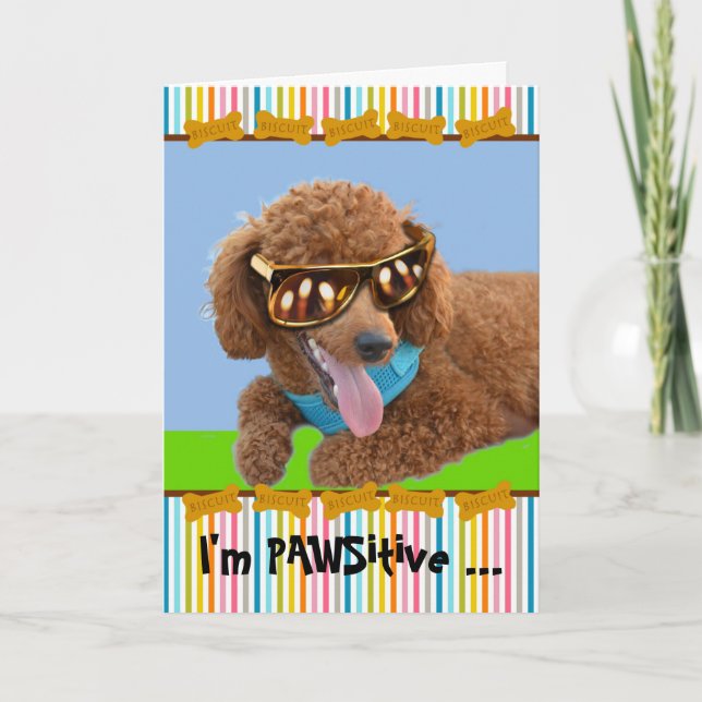Pawsitive Birthday Red Poodle in Shades Karte (Vorderseite)
