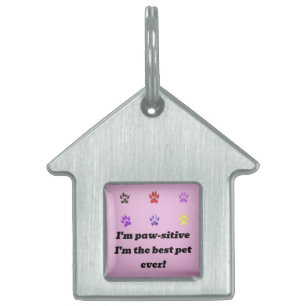 Pawsitive Vibes Gerahmt Pet Tag Tiermarke