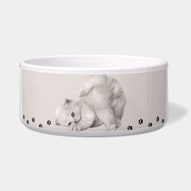 "Pawyer Bowl"? Kitten 🐾 ✨ Napf (Vorderseite)