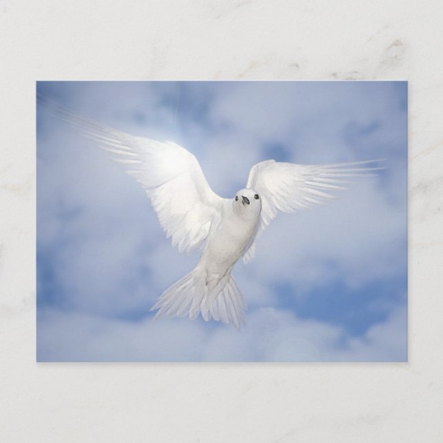 Pax Postkarte (Vorderseite)