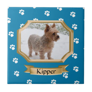 Pay Print Pet Foto Blau Fliese
