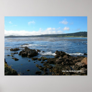 Pazifik-Grove auf den Felsen Poster