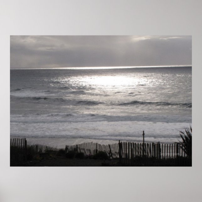 Pazifikküstenposter Poster (Vorne)