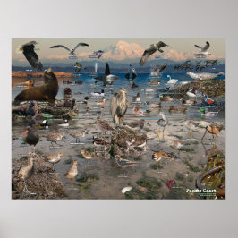 Pazifikküstenposter Poster