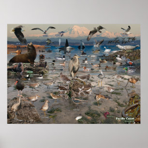 Pazifikküstenposter Poster