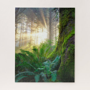 Pazifikküstenwald, Oregon Puzzle