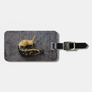 Pazifische Bananen-Schnecke Gepäckanhänger