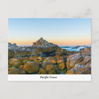 Pazifische Grove Postkarte