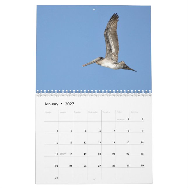 Pazifische Nordwestvögel Kalender (Jan 2027)