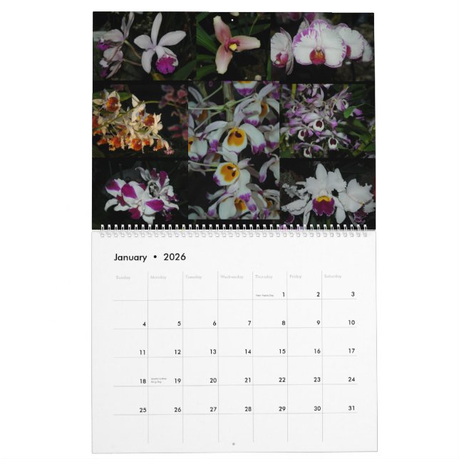 Pazifische Orchideen-Ausstellung Kalender (Jan 2026)