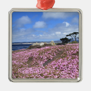 Pazifische Waldungs-lila Teppich Silbernes Ornament