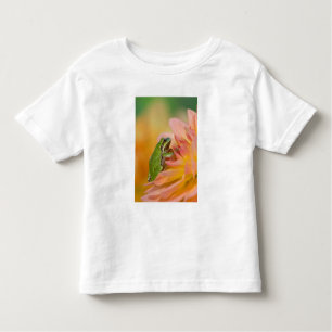 Pazifischer Baumfrosch auf Blume in unserem Garten Kleinkind T-shirt