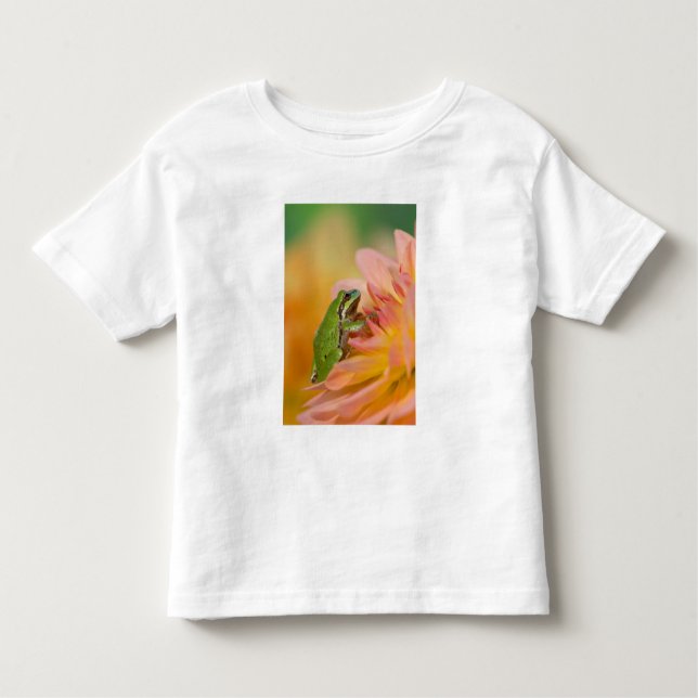 Pazifischer Baumfrosch auf Blume in unserem Garten Kleinkind T-shirt (Vorderseite)