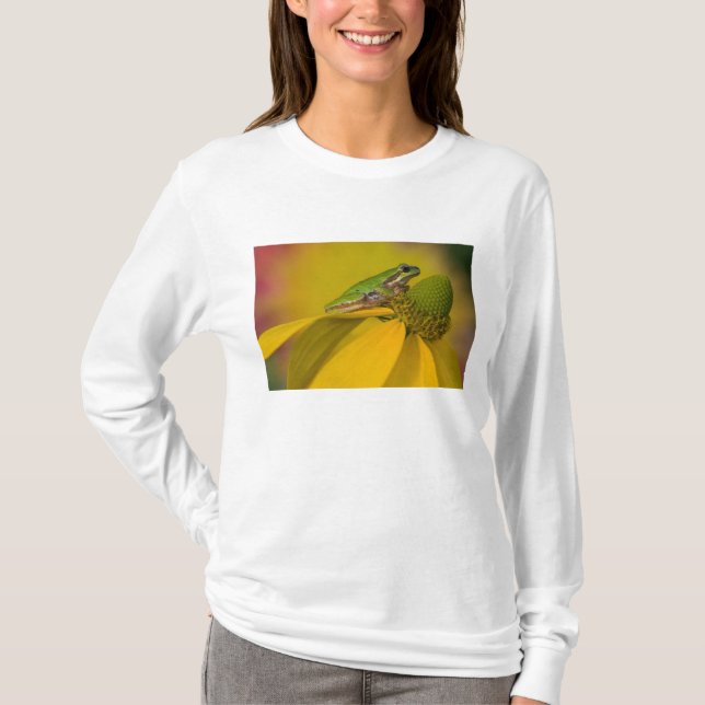 Pazifischer Baumfrosch auf Blume in unserem Garten T-Shirt (Vorderseite)