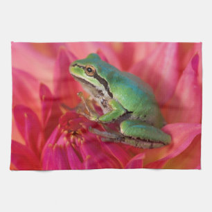 Pazifischer Laubfrosch auf Blumen in unserem Garte Geschirrtuch