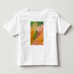 Pazifischer Laubfrosch auf Blumen in unserem Garte Kleinkind T-shirt