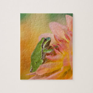 Pazifischer Laubfrosch auf Blumen in unserem Garte Puzzle