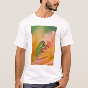 Pazifischer Laubfrosch auf Blumen in unserem Garte T-Shirt