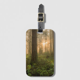 Pazifischer Nordwestnebeliger Morgen des wald Gepäckanhänger