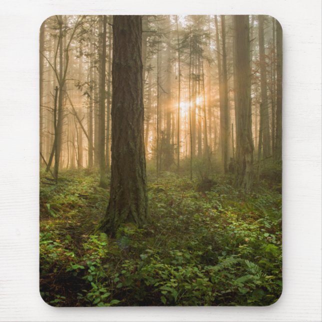 Pazifischer Nordwestnebeliger Morgen des wald| Mousepad (Vorne)