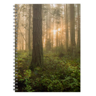 Pazifischer Nordwestnebeliger Morgen des wald  Notizblock