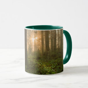 Pazifischer Nordwestnebeliger Morgen des wald Tasse