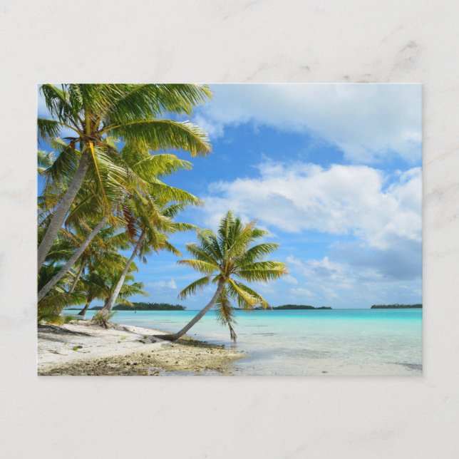 Pazifischer Palmenstrand Postkarte (Vorderseite)