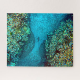 PAZIFISCHER REEF SHARK 16x20 INCH Puzzle