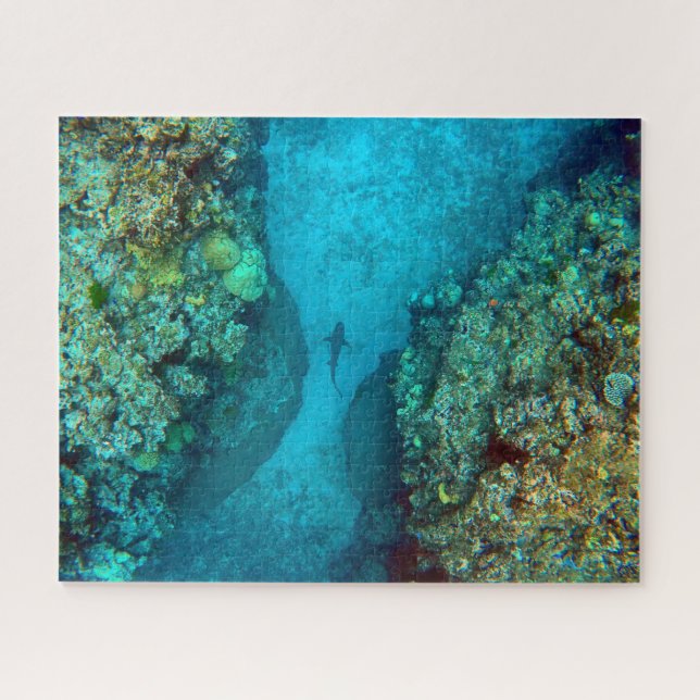 PAZIFISCHER REEF SHARK 16x20 INCH Puzzle (Horizontal)