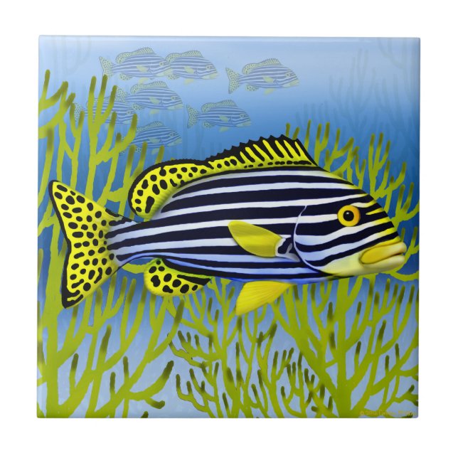 Pazifisches Riff orientalische Sweetlips Fliese (Vorderseite)