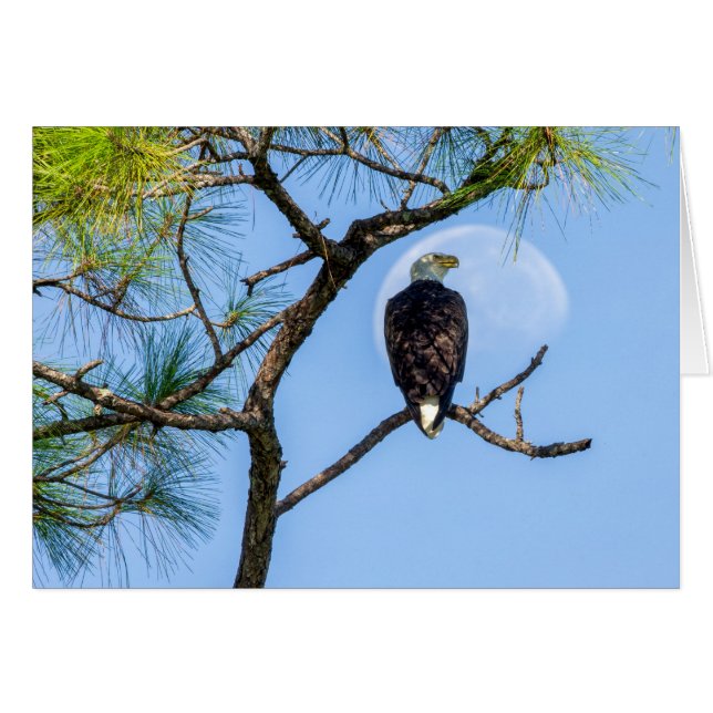 PB und Mond (Vorderseite (Horizontal))