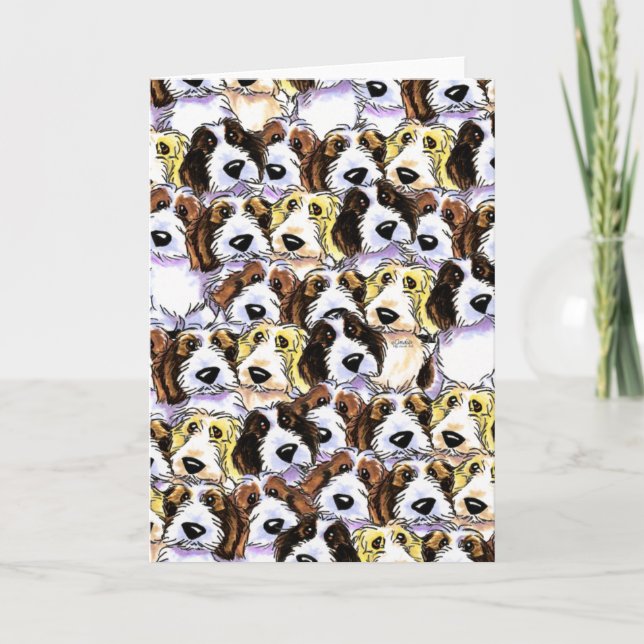 PBGV Satz Karte (Vorderseite)