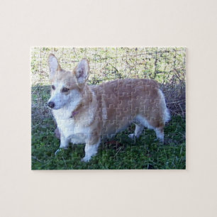 PC Pembroke-WaliserCorgi 110. Puzzlespiel-u. Puzzle