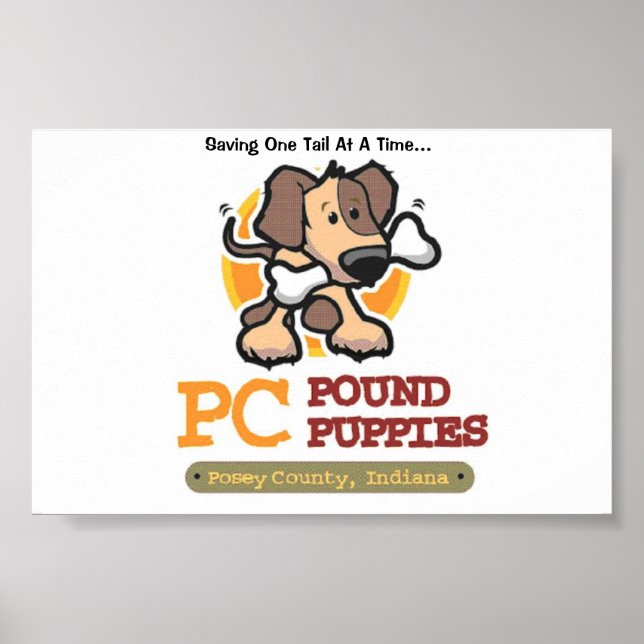PC-Pfund-Welpen Poster (Vorne)