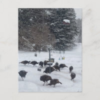 PC Winter Party Ansammlung Treffen Spaß