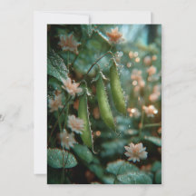 Pea im Pod | Sweet Sprouts