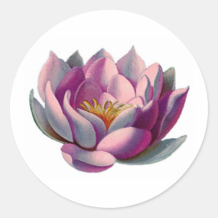 Peace l Beautiful Pink Lotus Blume/Water Lilie Runder Aufkleber