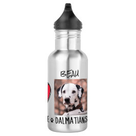 Peace Liebe Dalmatiner Hund liebt Stainless Steel Edelstahlflasche
