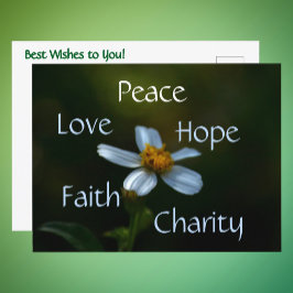 Peace Liebe Hope Faith Wohltätigkeit Daisy Floral Postkarte