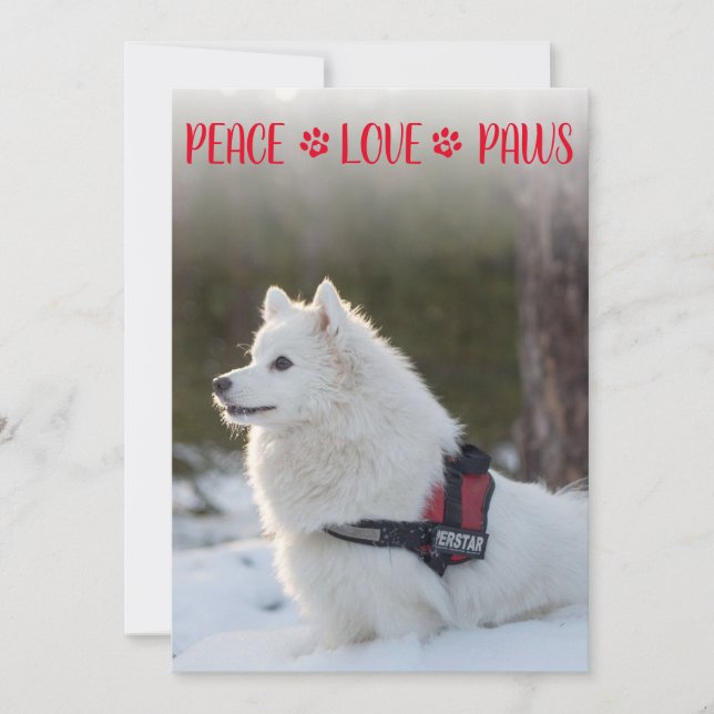 Peace Liebe Paws Foto Red Christmas Flat Card (Vorderseite)