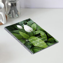 Peace Lily Aristotle Philosophische Weisheit Zitat