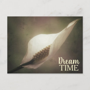 Peace Lily Dream Time Phrase Postkarte