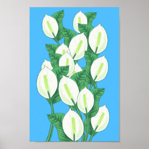 Peace Lily Illustration Poster