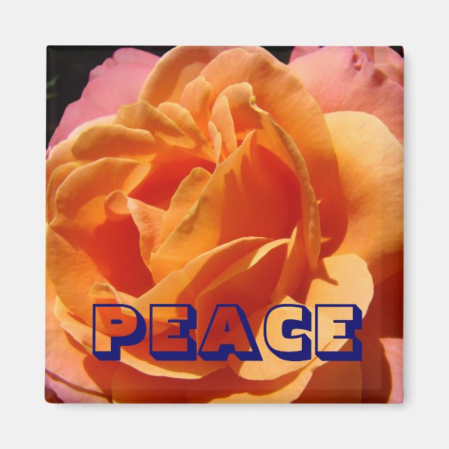 PEACE-Magnet Orange Rose Blume Natur Magnet (Vorne)