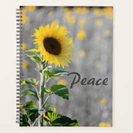 "Peace" Phrase, Feld der Sonnenblumen, Schwarz & W Planer