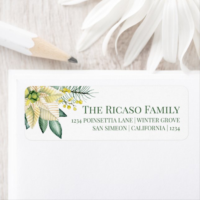 Peace Poinsettia Weihnachts-Blume (Insitu)