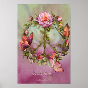 Peace Rose Art Poster/Print Poster